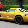 Mercedes SLS AMG - Desert Gold (58)