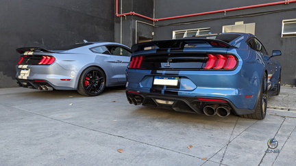 Dupla Ford Mustang Shelby GT500 (1)