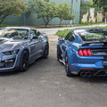 Dupla Ford Mustang Shelby GT500 (4)