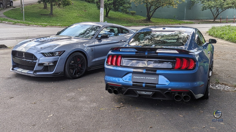 Dupla Ford Mustang Shelby GT500 (5).jpg