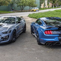 Dupla Ford Mustang Shelby GT500 (6)