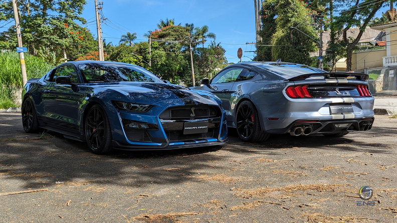 Dupla Ford Mustang Shelby GT500 (8).jpg