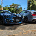 Dupla Ford Mustang Shelby GT500 (8)