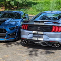 Dupla Ford Mustang Shelby GT500 (9)