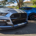 Dupla Ford Mustang Shelby GT500 (11)