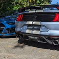 Dupla Ford Mustang Shelby GT500 (12)