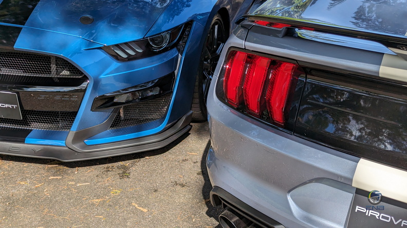 Dupla Ford Mustang Shelby GT500 (13).jpg