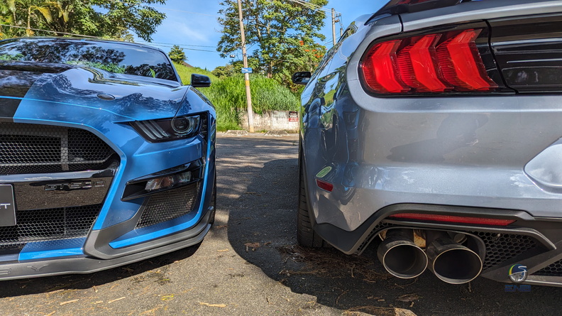 Dupla Ford Mustang Shelby GT500 (14).jpg