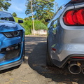 Dupla Ford Mustang Shelby GT500 (14)