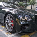 Bentley Continental GT Speed - British Racing Green (18)