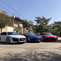 Dois ou mais Audi R8 (8)