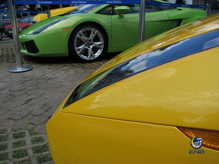 Calçada Platinuss (1)