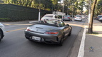 AMG GT / GT S / GT C / GT R e GT R PRO