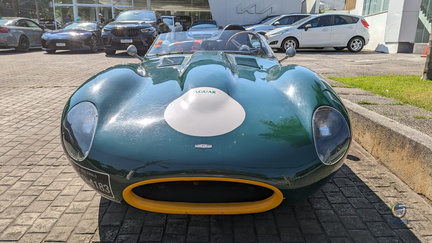 Jaguar D-Type (1)