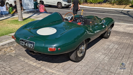 Jaguar D-Type (2)