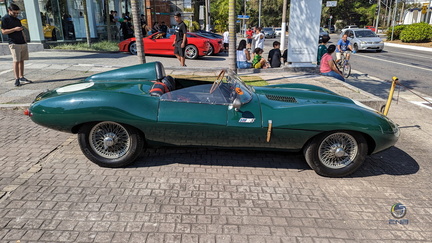 Jaguar D-Type (3)