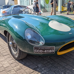 JAGUAR