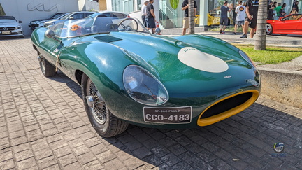 Jaguar D-Type (4)