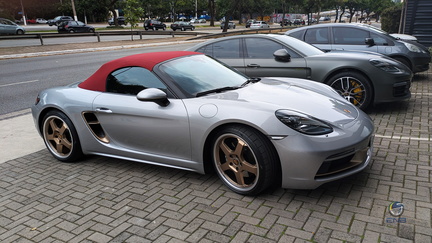 Dois ou mais Porsches (8)