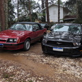 Dois ou Mais Mustang (2)