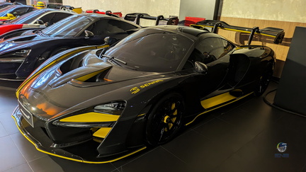 McLaren Senna (1)