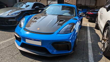 Porsche 718 GT4 RS (3)