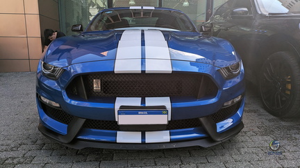Mustang Shelby GT350 (1)