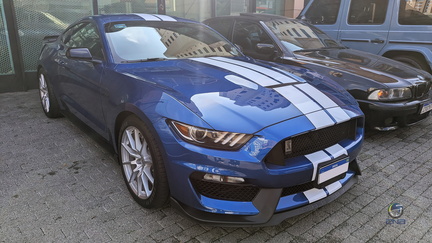 Mustang Shelby GT350 (2)