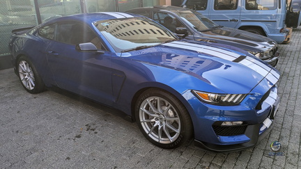Mustang Shelby GT350 (3)