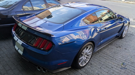 Mustang Shelby GT350 (4)