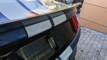 Mustang Shelby GT350 (5)