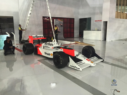 Senna (3)