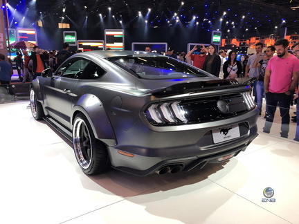 Ford Mustang BTS 1000 (2)