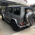 Mercedes G63 W463 (1)