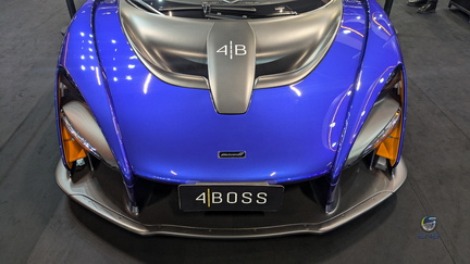 McLaren Senna (11) copiar