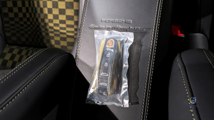 Porsche 911 Spirit 70 - 155 de 1500 (24)